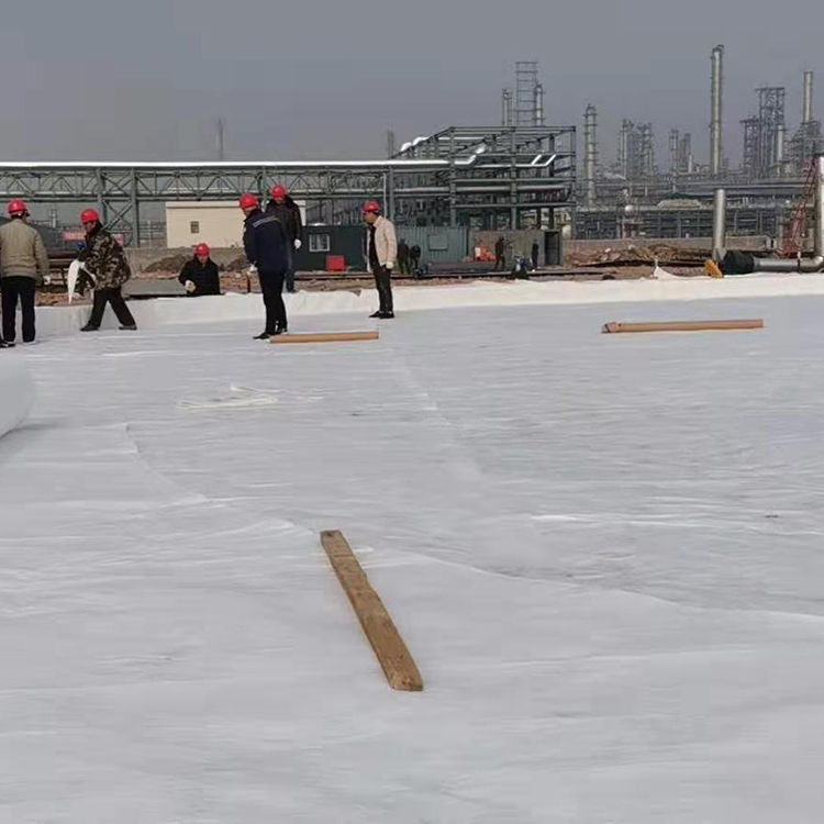 微信图片_20191227090522 副本.jpg